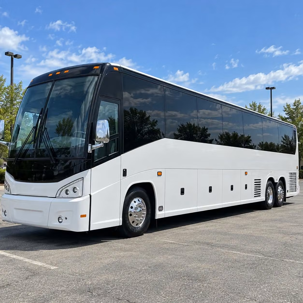 book school event transportation in st petersburg or any city nearby