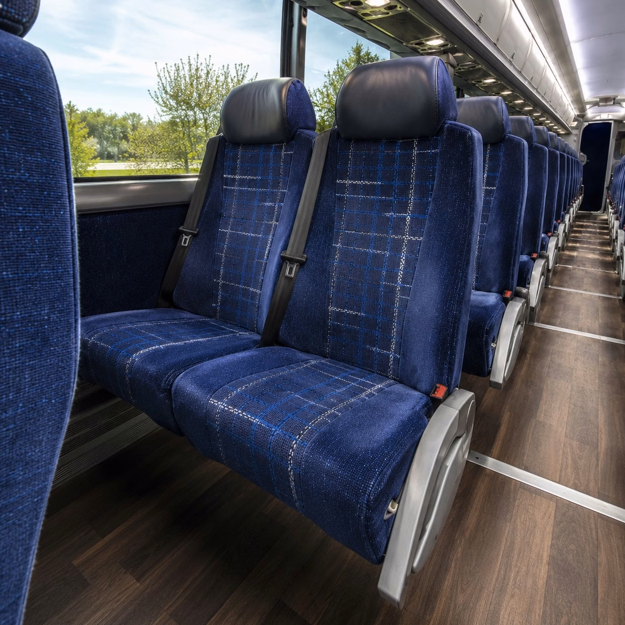 charter buses and party buses for tampa bay rays games at tropicana field