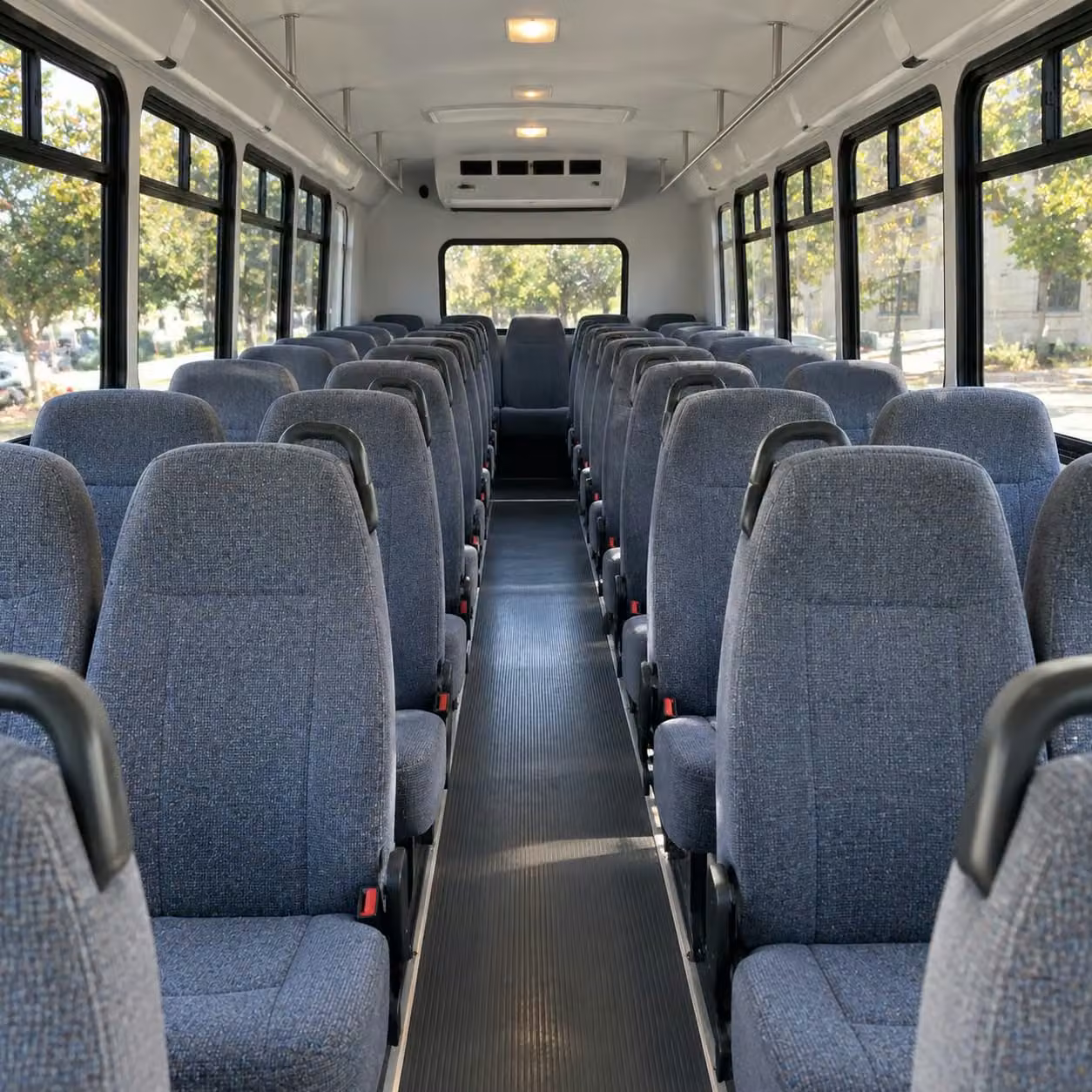 school field trip bus rentals in st petersburg