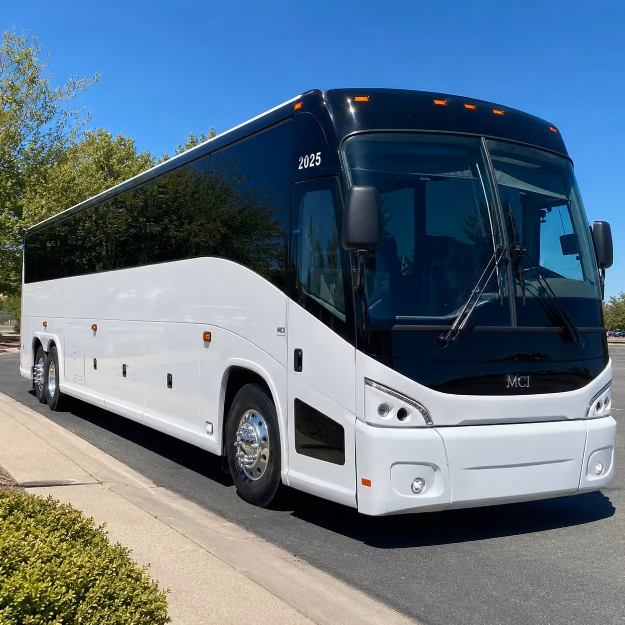whether you re planning a multi day tour or a one way long distance run from st pete charterbusrentalstpetersburg com has you covered